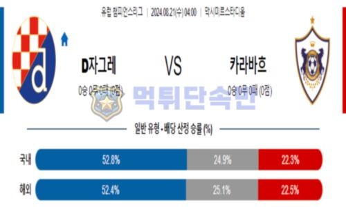 스포츠 분석