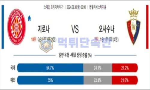 스포츠 분석