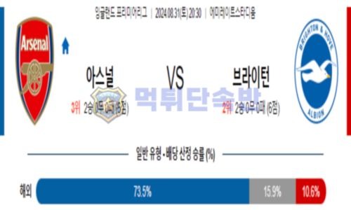 스포츠 분석