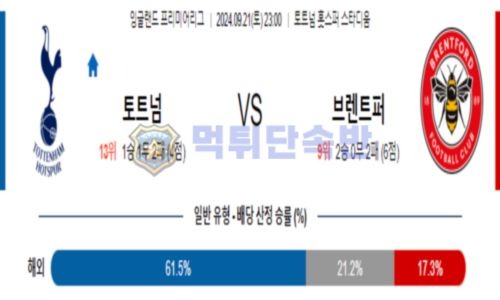 스포츠 분석