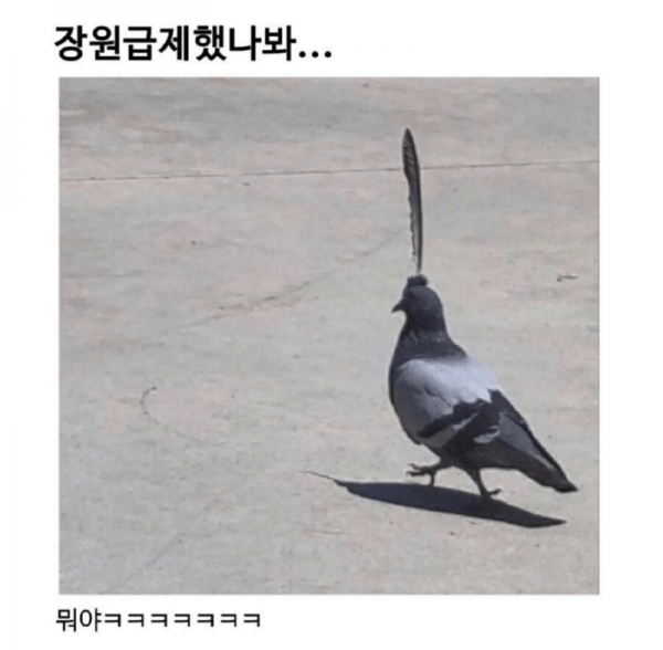 장원급제.png