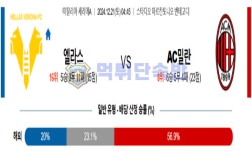 스포츠 분석