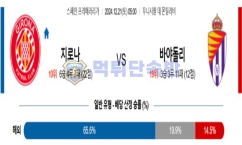 스포츠 분석