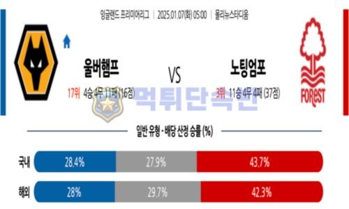 스포츠 분석