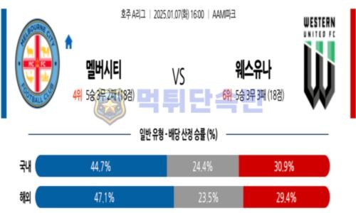 스포츠 분석