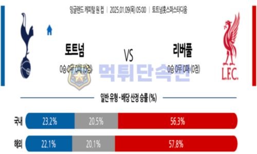 스포츠 분석