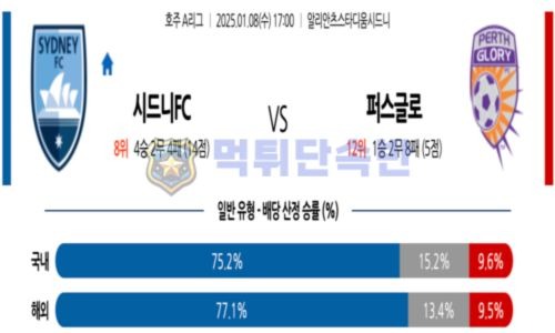 스포츠 분석