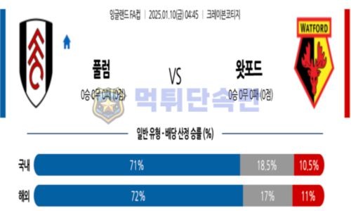 스포츠 분석