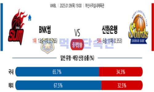 스포츠 분석