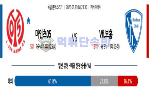 스포츠 분석