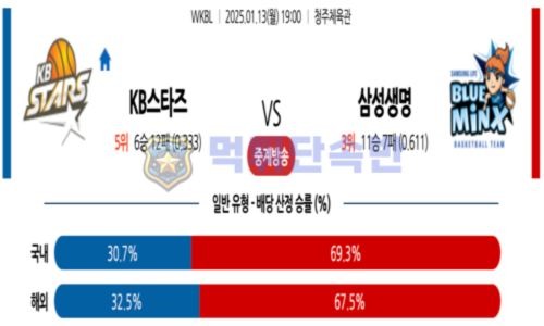 스포츠 분석