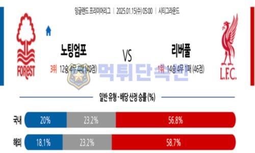 스포츠 분석