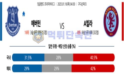 스포츠 분석