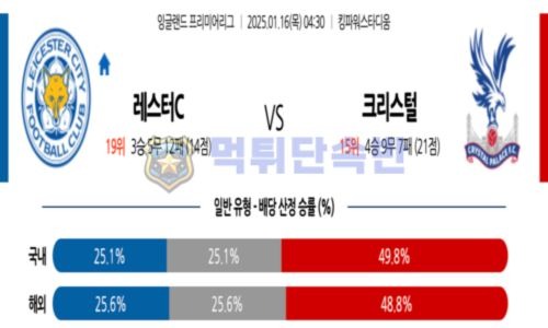 스포츠 분석