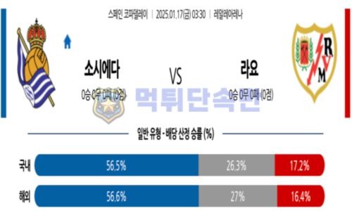 스포츠 분석