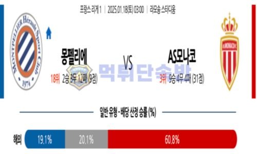 스포츠 분석