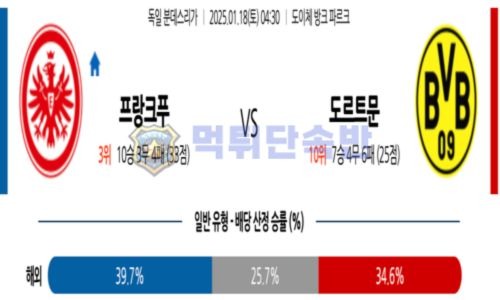 스포츠 분석