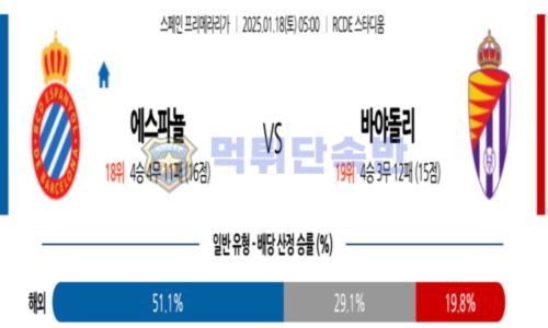 스포츠 분석