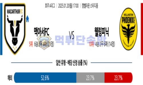 스포츠 분석