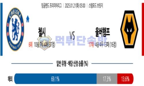 스포츠 분석