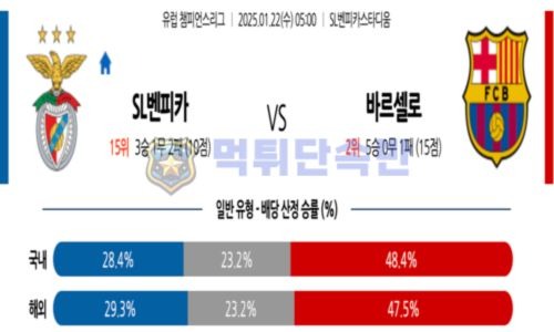 스포츠 분석