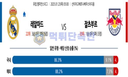 스포츠 분석