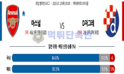 스포츠 분석