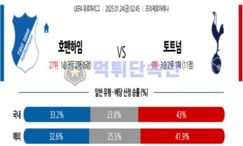 스포츠 분석