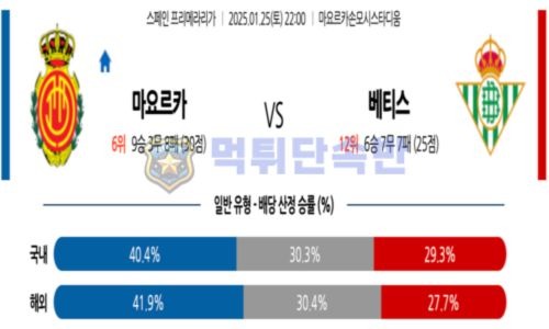 스포츠 분석