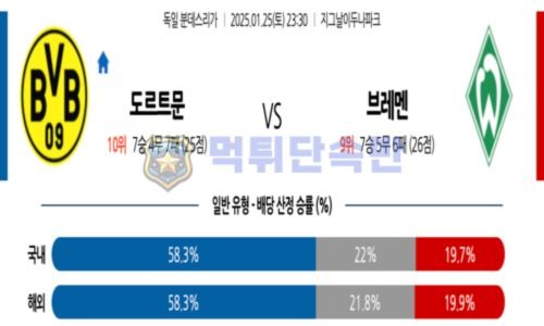 스포츠 분석