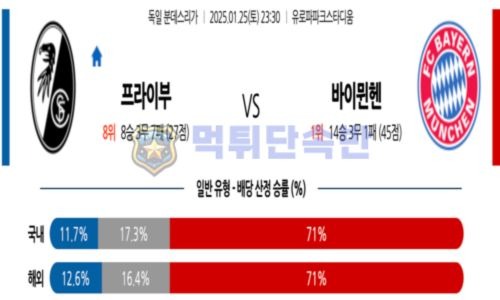 스포츠 분석