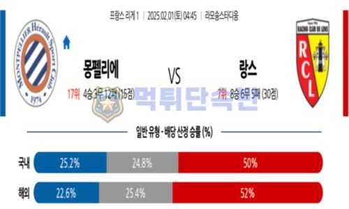 스포츠 분석