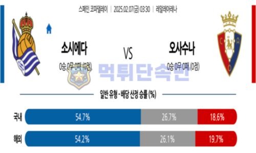 스포츠 분석