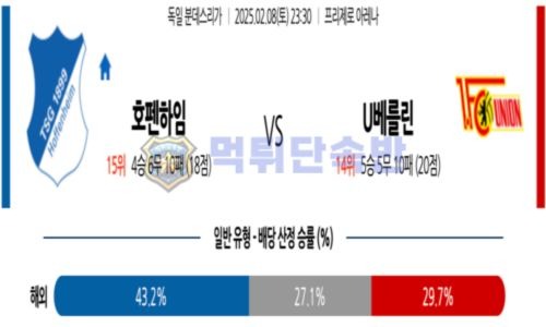 스포츠 분석