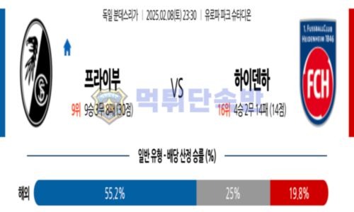 스포츠 분석