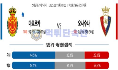 스포츠 분석