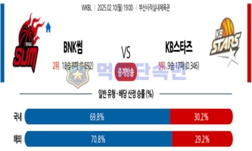 스포츠 분석