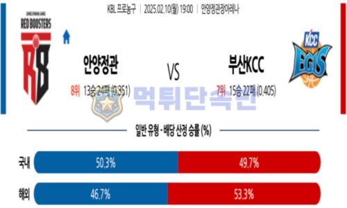 스포츠 분석