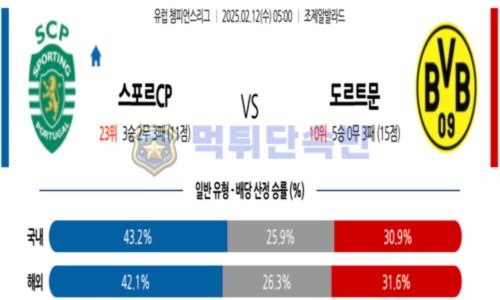 스포츠 분석