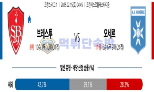 스포츠 분석