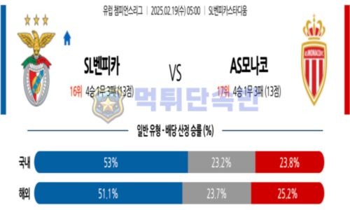 스포츠 분석