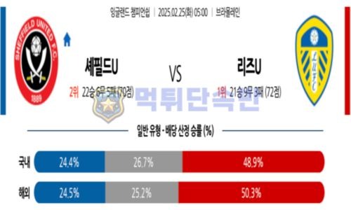 스포츠 분석