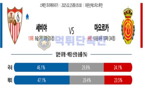 스포츠 분석