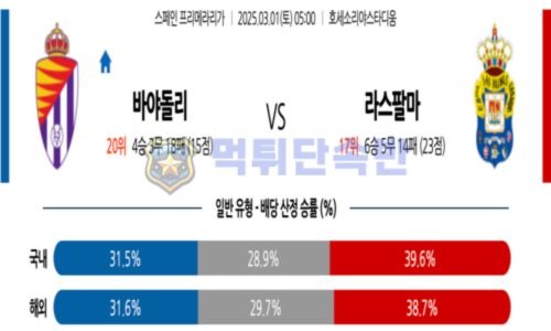 스포츠 분석