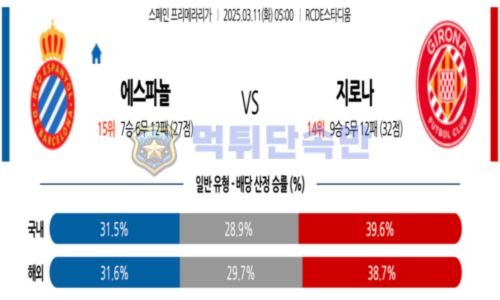 스포츠 분석