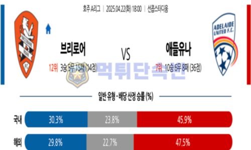 스포츠 분석