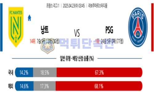 스포츠 분석