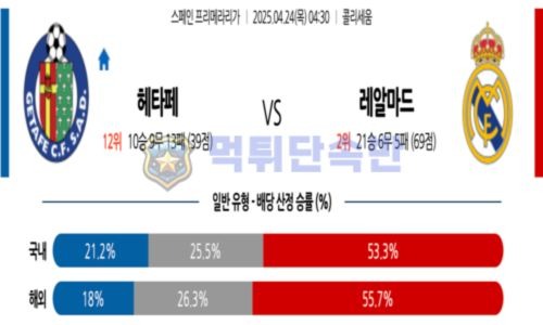 스포츠 분석