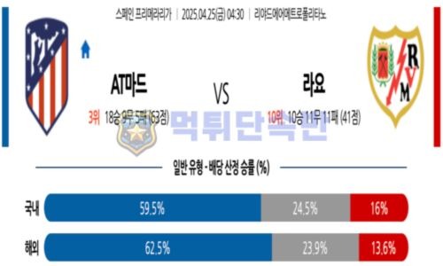 스포츠 분석