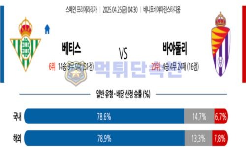 스포츠 분석